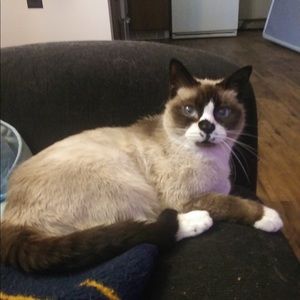 Meet your Posher, Mary